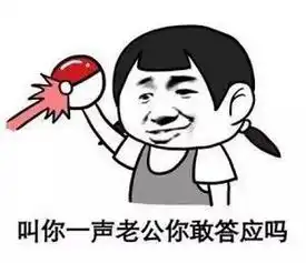  我要的,终究只不过是一个你罢了