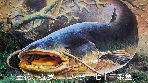  东北鲶鱼炖茄子,撑死老爷子的那种还记得啥味吗