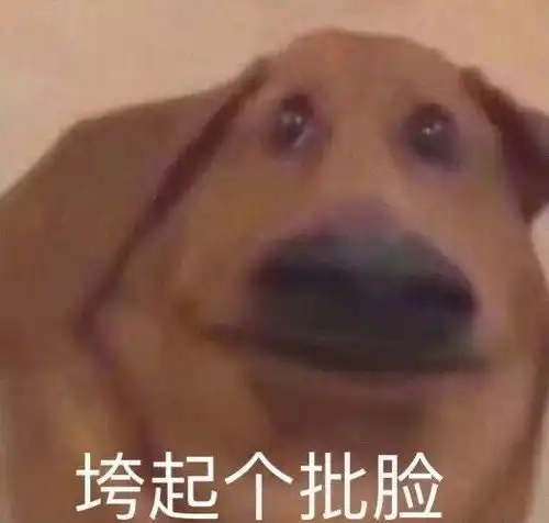  专治不开心,沙雕可爱搞笑文案,爆笑不断