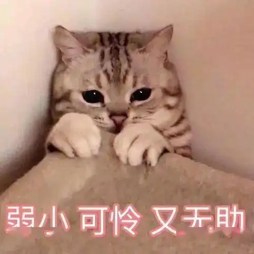  40义乌将连续热上一周...