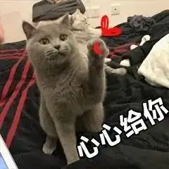  福利期末自救指南奉送