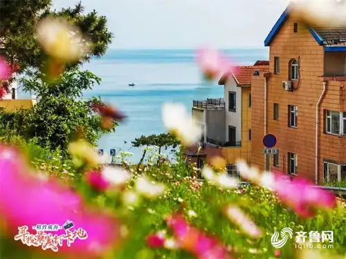  有型有趣有温度威海高新区擦亮精致城区名片