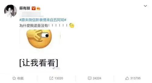 搞笑图片集锦带字五阿哥