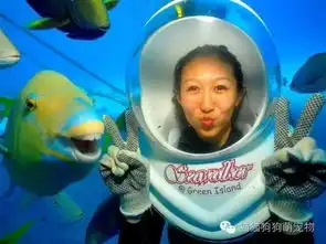  抢镜的萌宠们,太贱了