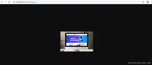  idea通过虚拟路径访问图片