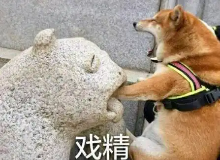 哔哩哔哩专栏  哔哩哔哩专栏
