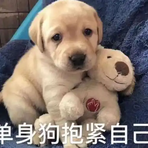 幽默笑话帮同事去找订婚宴饭店,餐馆经理跟我要了新郎的名字,我很奇怪  幽默笑话帮同事去找订婚宴饭店,餐馆经理跟我要了新郎的名字,我很奇怪