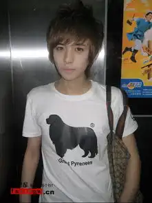  亚麻色适合什么男生发型