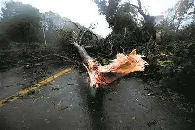  台风山竹或将被除名台风为什么要除名