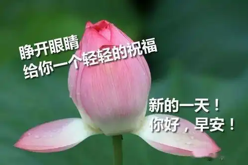 予人玫瑰,手留余香善待他人,就是善待自己早安开心  予人玫瑰,手留余香善待他人,就是善待自己早安开心