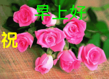  收拾心情,今天除了开心只能快乐,早安