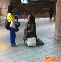  精选图片帖第490页