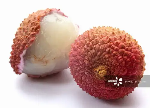  摄影图片