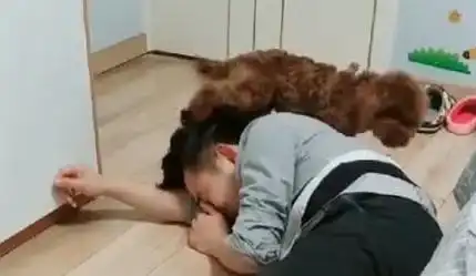 搞笑图片gif抢戏