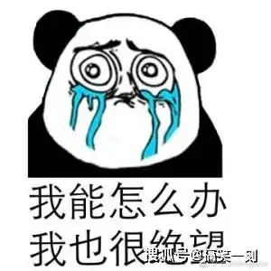  搞笑gif新娘你的心也太大,穿婚纱坐在网吧打游戏笑话