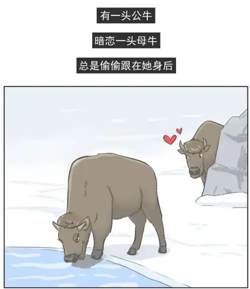 爆笑公牛本想上演一出英雄救美,结果反而帮了狼群一把  爆笑公牛本想上演一出英雄救美,结果反而帮了狼群一把