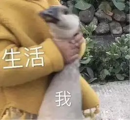  2018上半年的我在人间,有谁活得不像一场炼狱