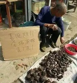 地摊图片搞笑地摊