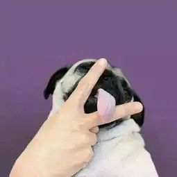  这个是情头嘛求另一张