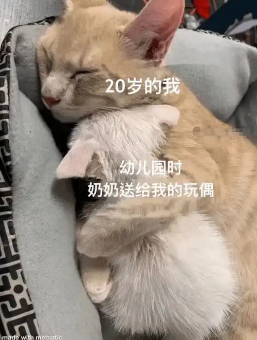  搞笑趣图在奶奶眼里我们总是吃不饱穿不暖的
