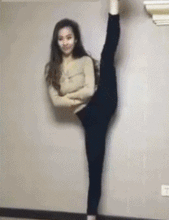 哈士奇动态图片搞笑gif