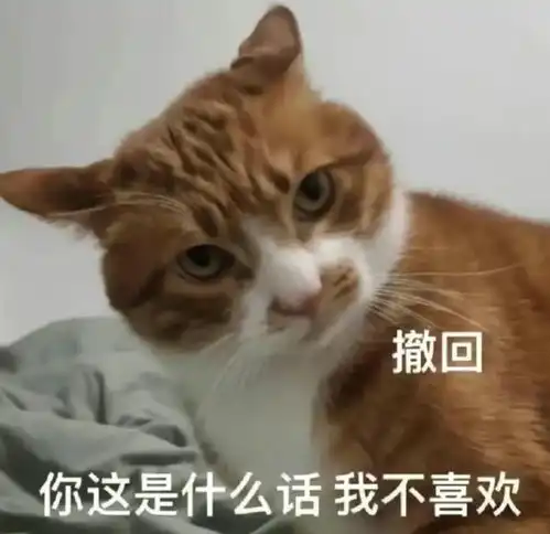  你这是什么话我不喜欢丨第842期喵表情包