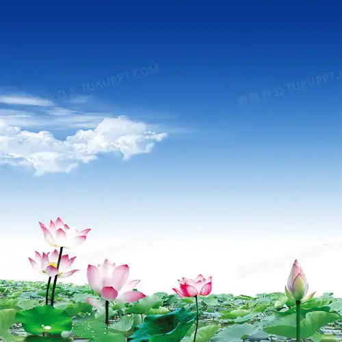  风景淘宝主图背景背景图片素材免费下载熊猫办公