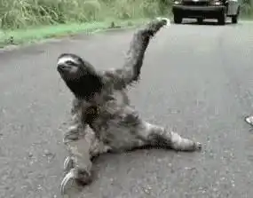  搞笑笑话大合集你没看过的笑话都在这里