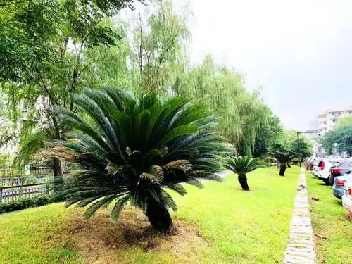  seuer这才是打开秋天的方式