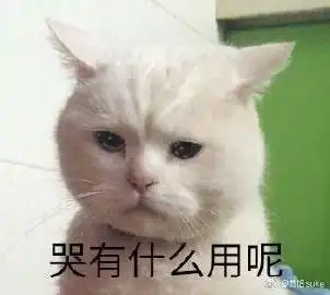 被雨淋湿的猫表情包