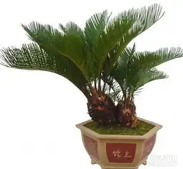  图北新泾开业花篮.北新泾开张花篮.配送.送花.北新泾订花送花上海生活配送