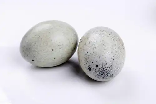  爱吃皮蛋的要留意了,遇到这3种皮蛋转身就走,为了家人健康避开