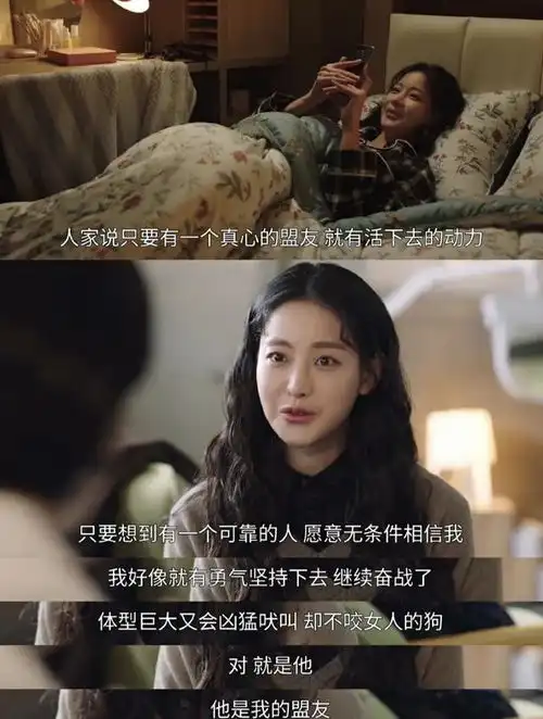  最适合一个人观看的8部精彩温暖解压韩剧
