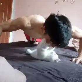 猫主子有那些搞笑的视频或者动态图  猫主子有那些搞笑的视频或者动态图