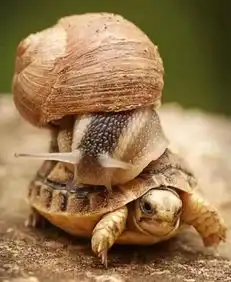  厉害怎么抓拍到的真的是大开眼界