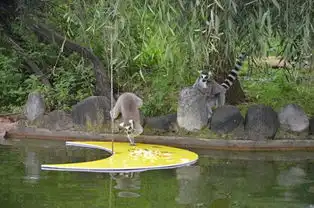  云南野生动物园猴子捞月千只玉兔迎中秋