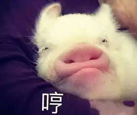 套路表情包一套猪我好方