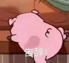  杭州能撸猪了国内首家猪猪咖啡馆,一杯奶茶钱狂撸一整天