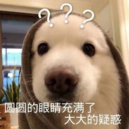  萌宠表情包麻麻,我害怕