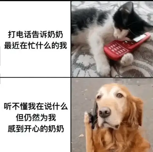  搞笑趣图在奶奶眼里我们总是吃不饱穿不暖的