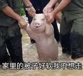  不想上学表情包下载洪水猪不想上学表情包高清无水印极光下载站