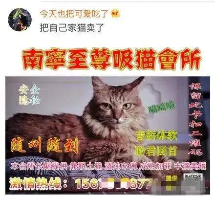  记者走访了一些猫色场所,没想到这个行业已经如此成熟