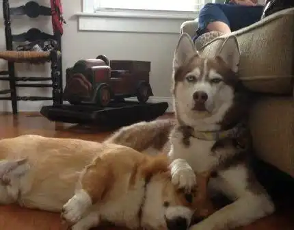  搞笑图片我半夜做图的平衡感在于半夜看图的