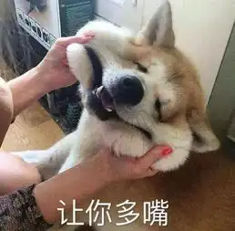  狗为什么爱主人专家因为它们都是受虐狂