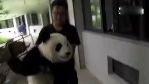  爆笑集锦图片的个人频道