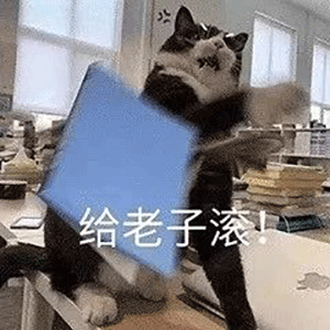  明星表情包铁打的身体,磁铁打的床