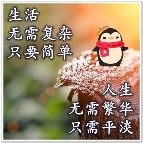  早上好日常祝福语大全,早晨好日常问候语录新版