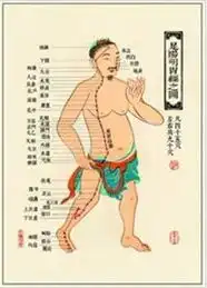  中医针灸挂图足阳明胃经图仿古宣纸画芯足阳明胃经图