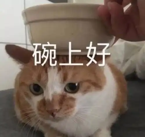  表情包大郎该吃药了