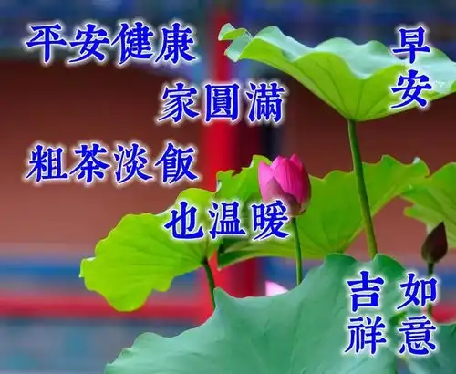 清晨问候图片搞笑语录